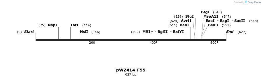 29015_map