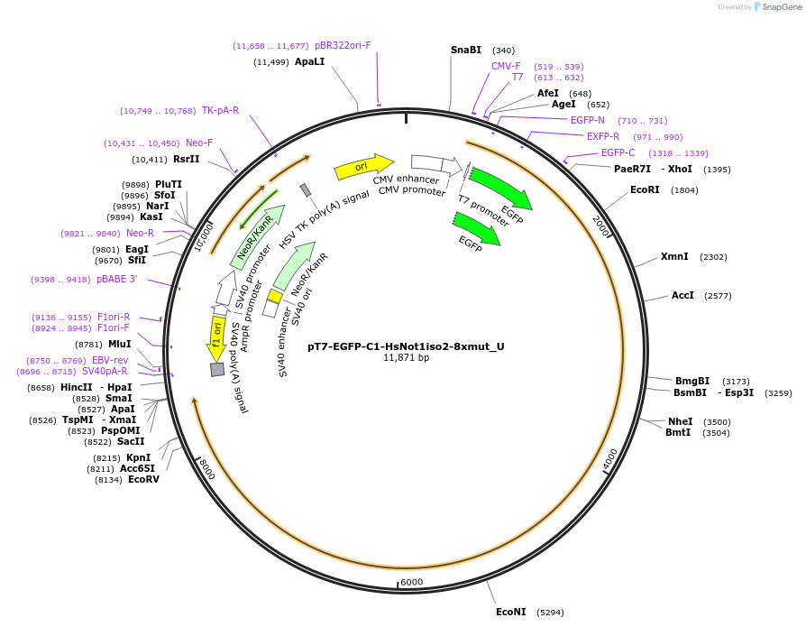290180_map