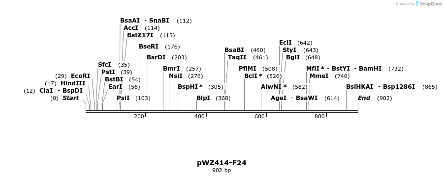 29020_map