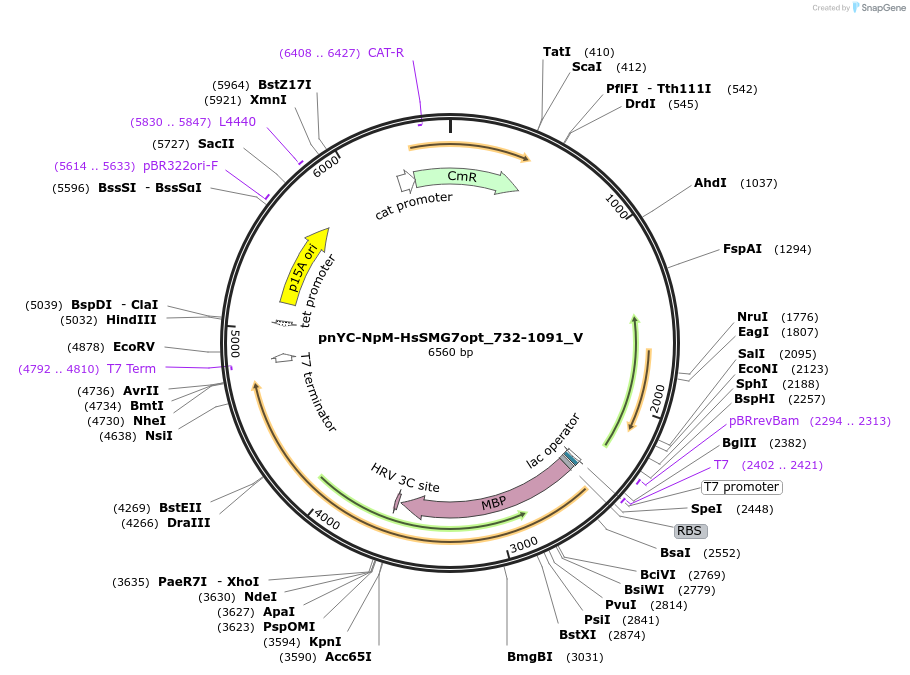 290216_map