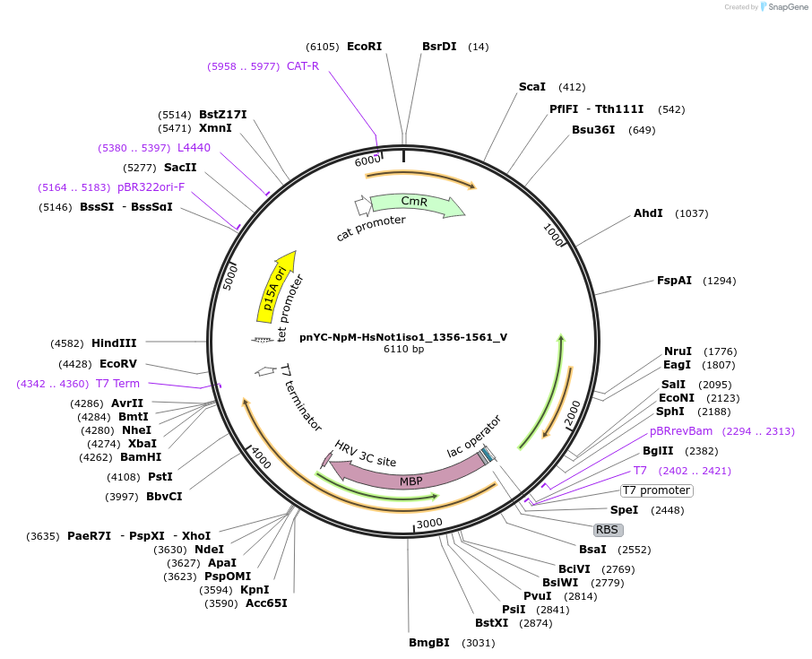 290225_map