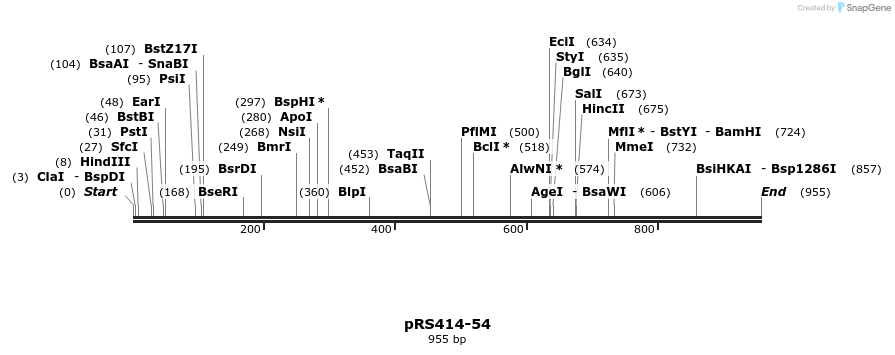 29025_map