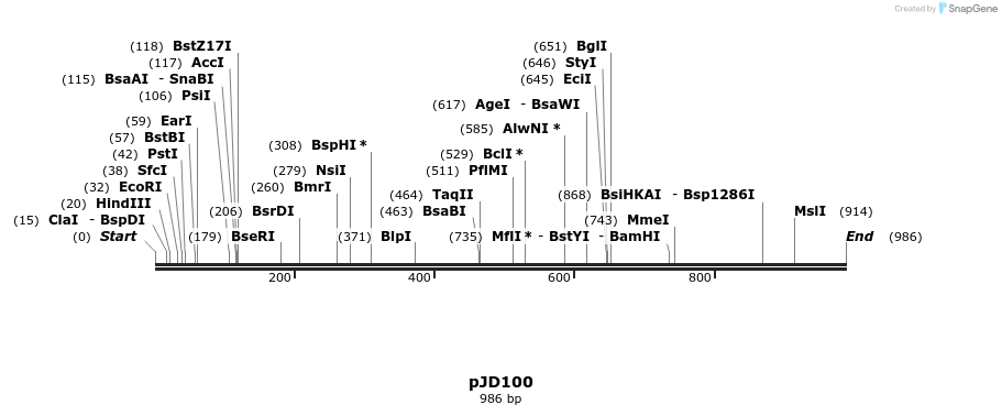 29026_map