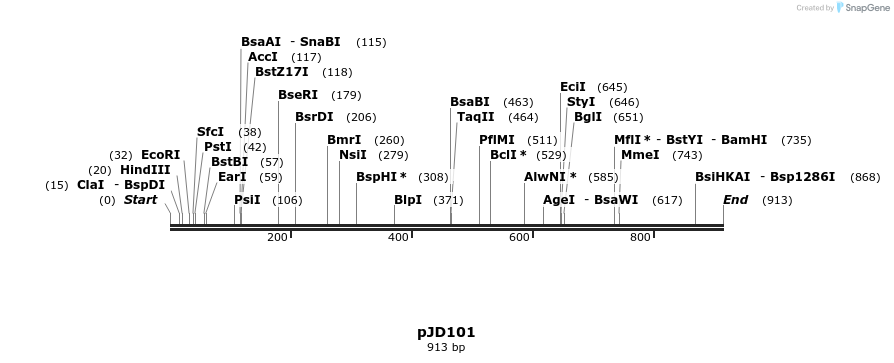 29027_map