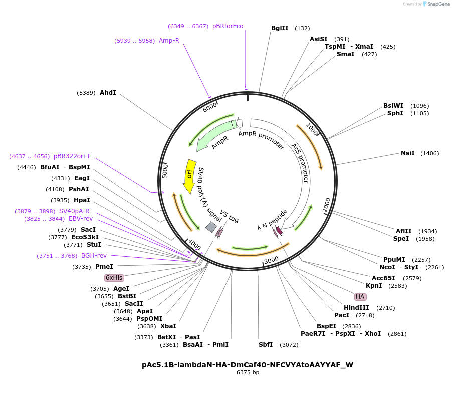 290276_map