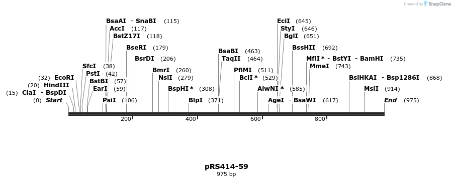 29028_map
