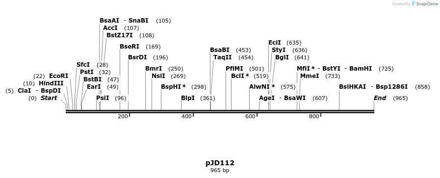 29029_map