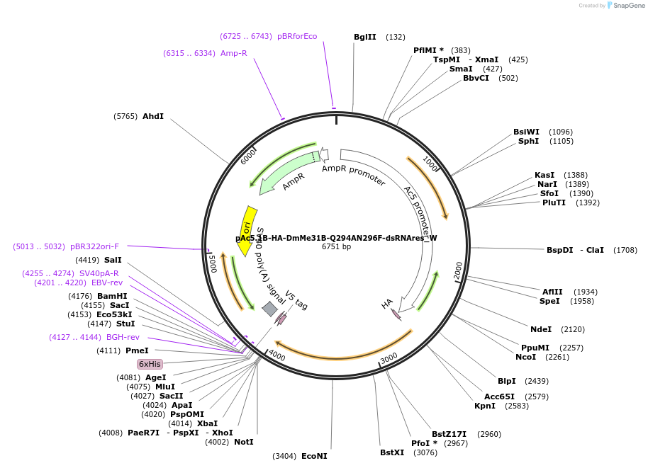 290309_map
