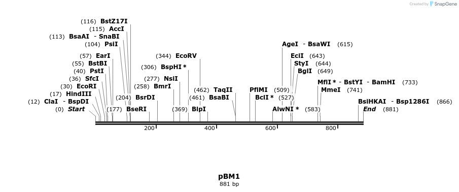 29031_map