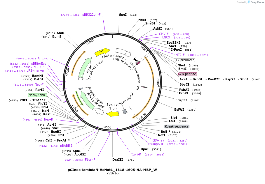290326_map