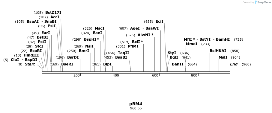 29033_map