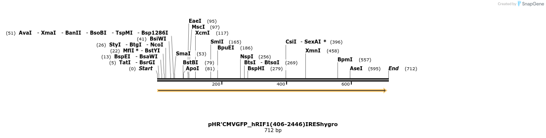 29037_map