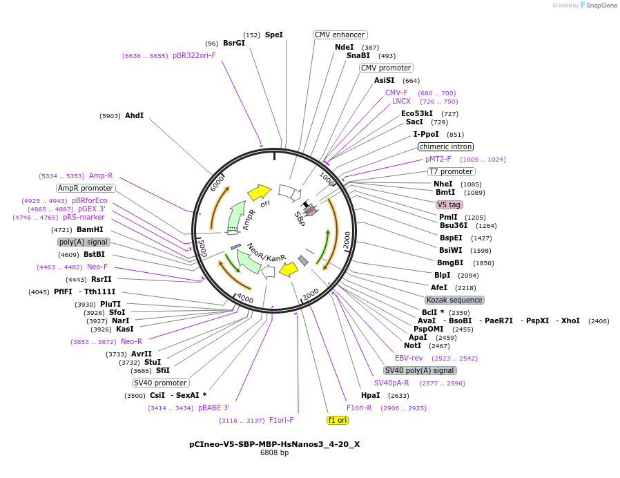 290370_map