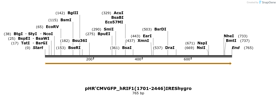 29039_map