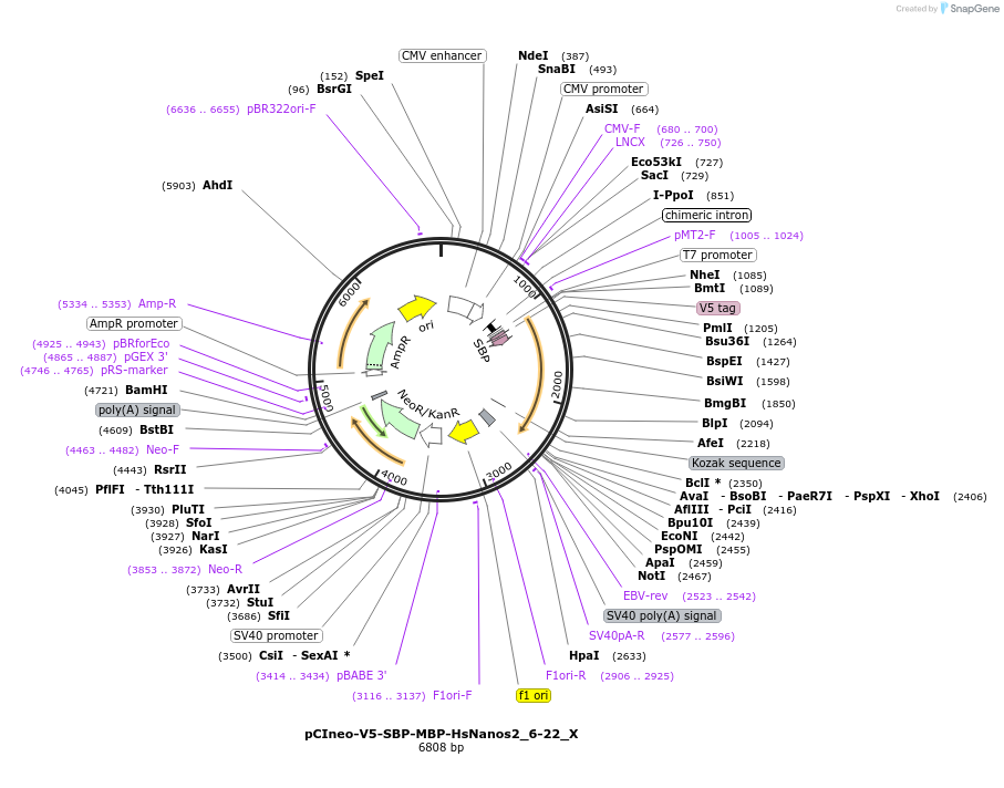290398_map
