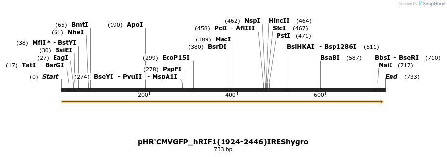 29040_map