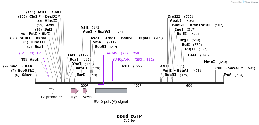 29041_map