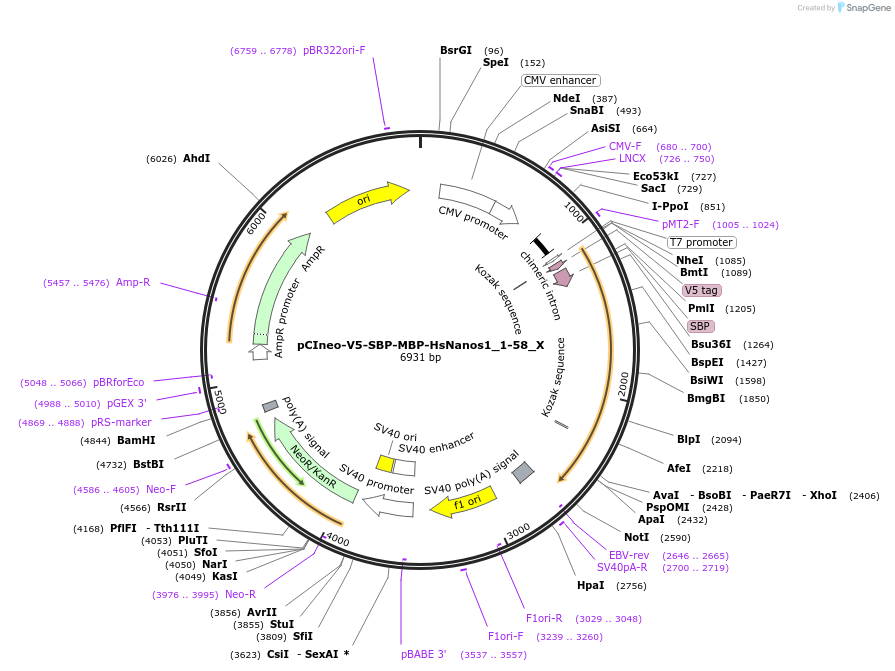 290414_map
