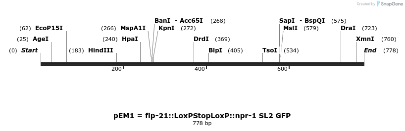 29053_map