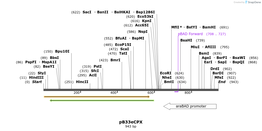 29054_map