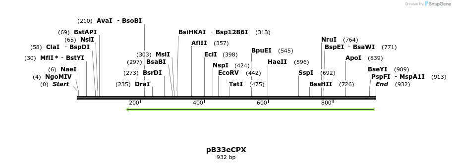 29055_map