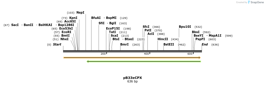 29056_map
