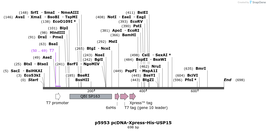 29059_map