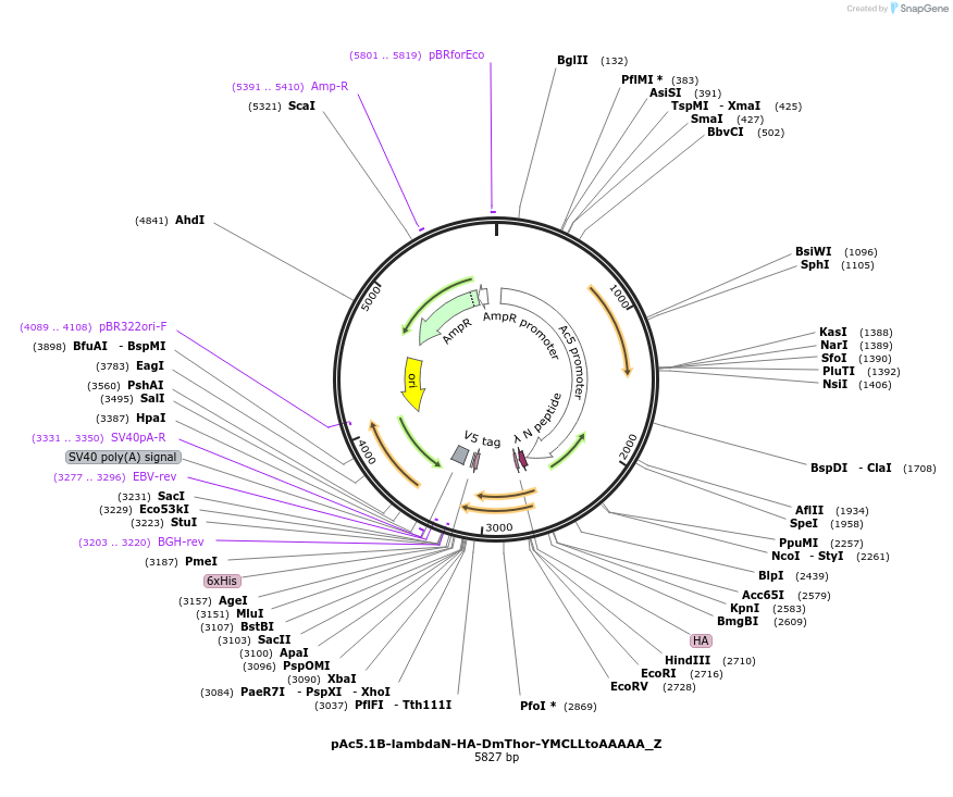 290601_map