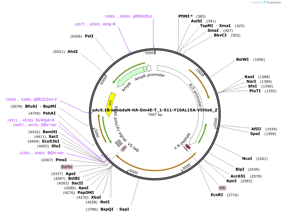 290609_map