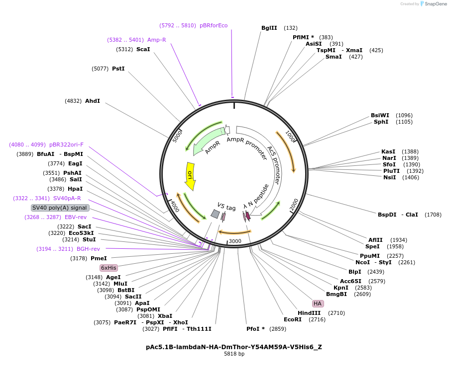 290615_map