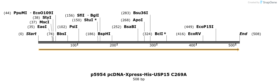 29062_map