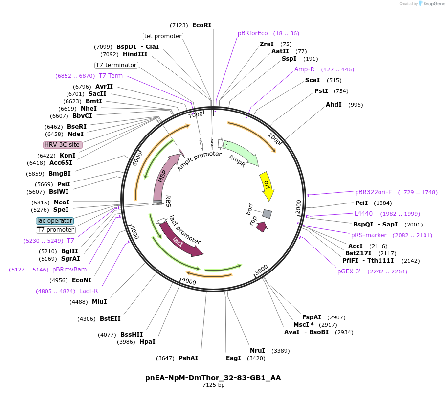 290715_map