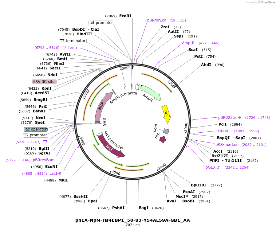 290725_map