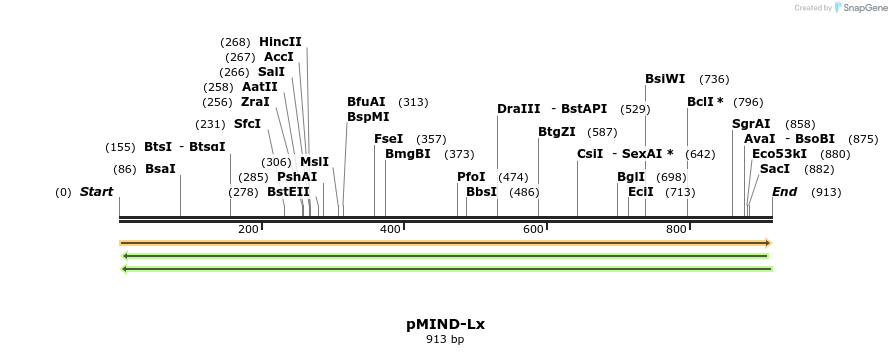 29073_map