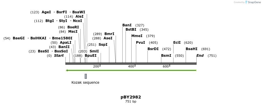 29075_map