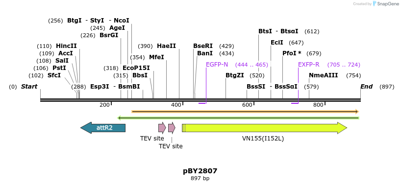 29078_map