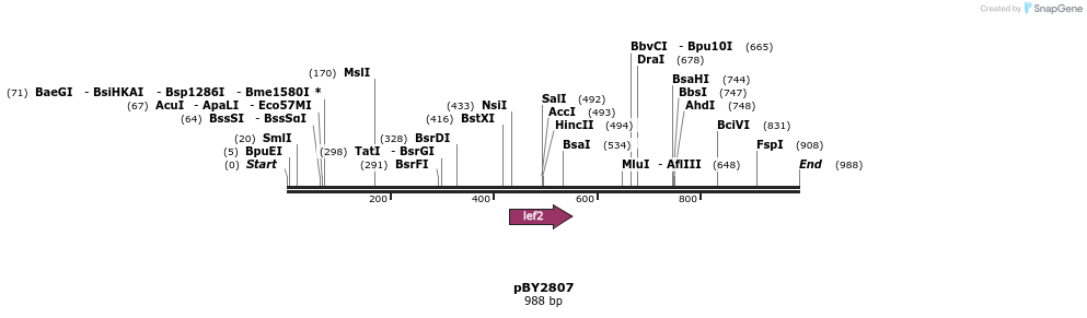 29079_map