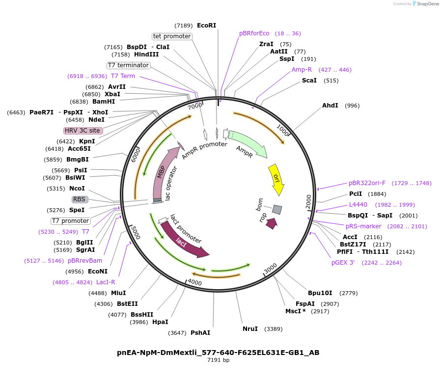 290809_map