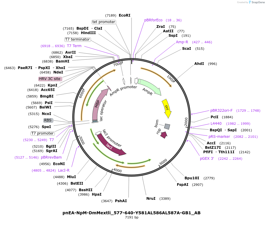 290813_map