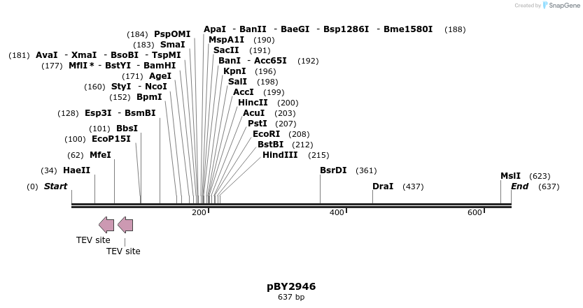 29082_map