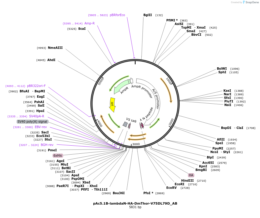 290825_map