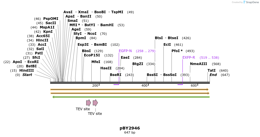 29083_map