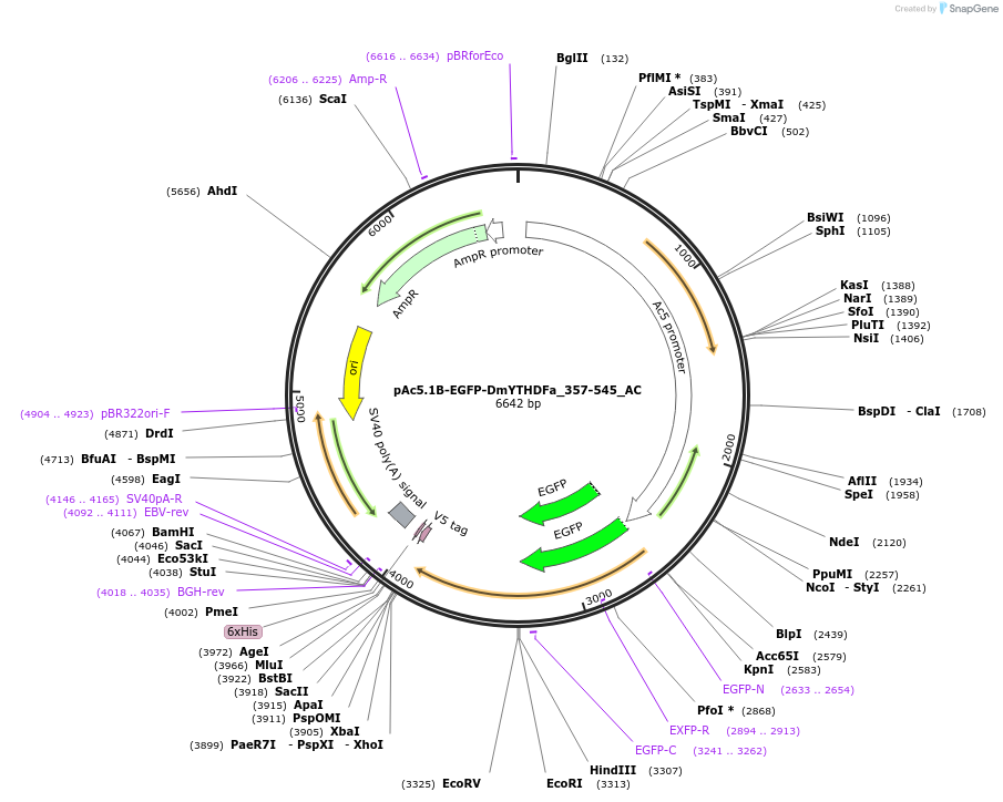 290830_map