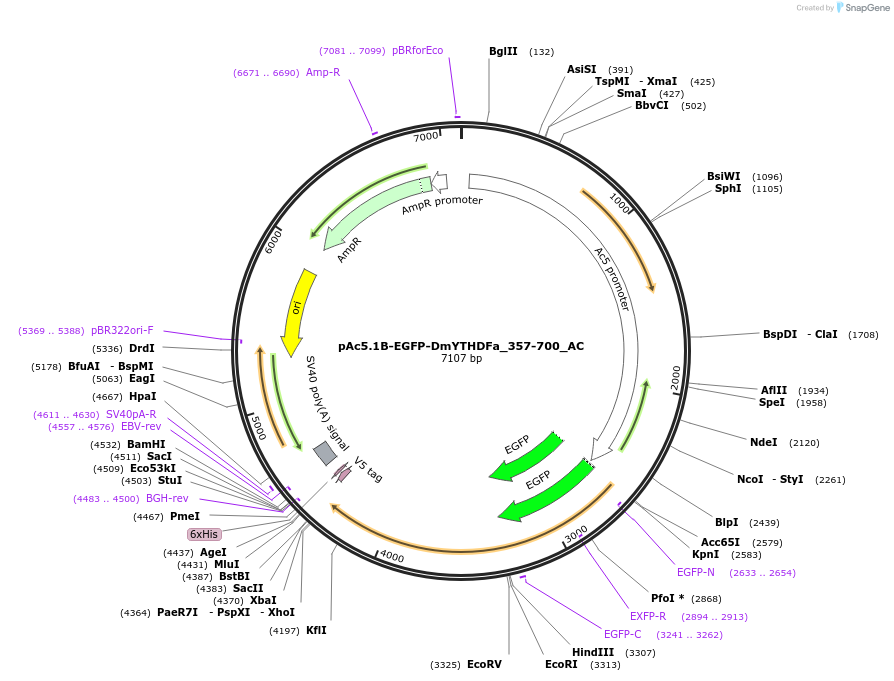 290831_map