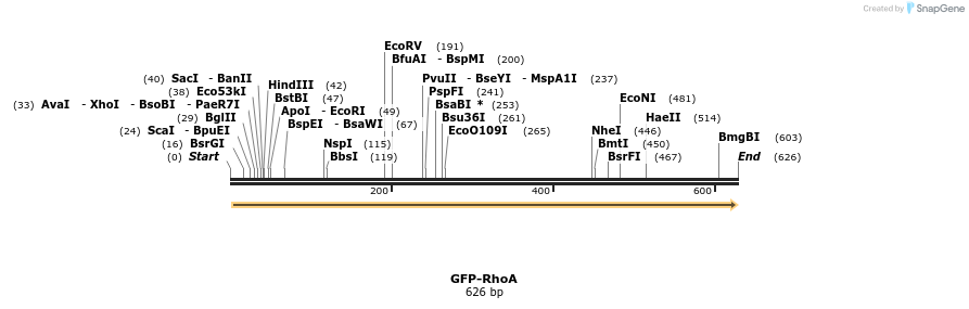 29084_map