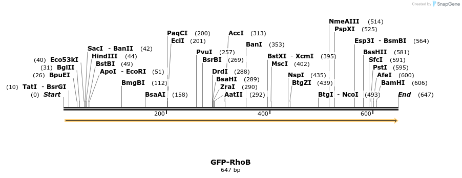 29085_map