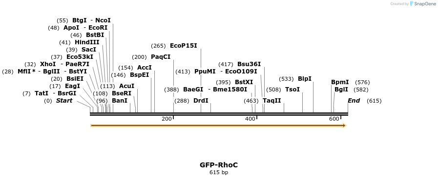 29086_map