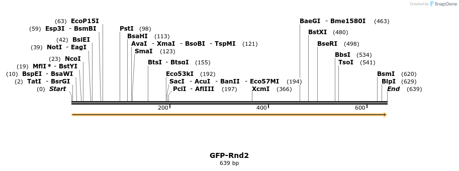 29088_map