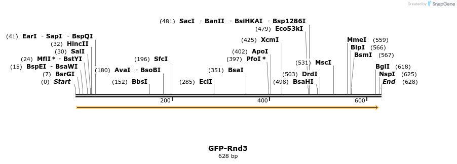 29089_map
