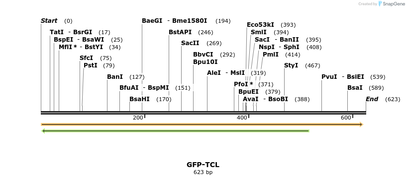 29091_map